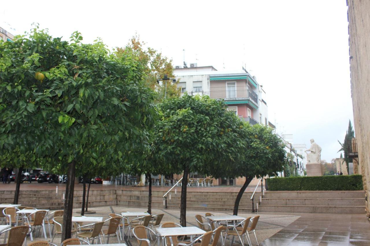 Loft Turistico En Casco Historico, Wifi Y Tv Satelite Gratis *