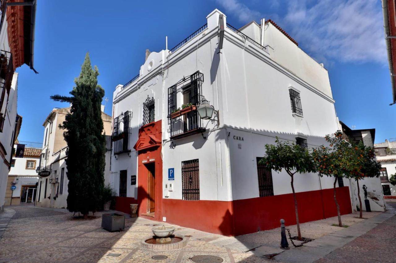 Guest house Cibeles