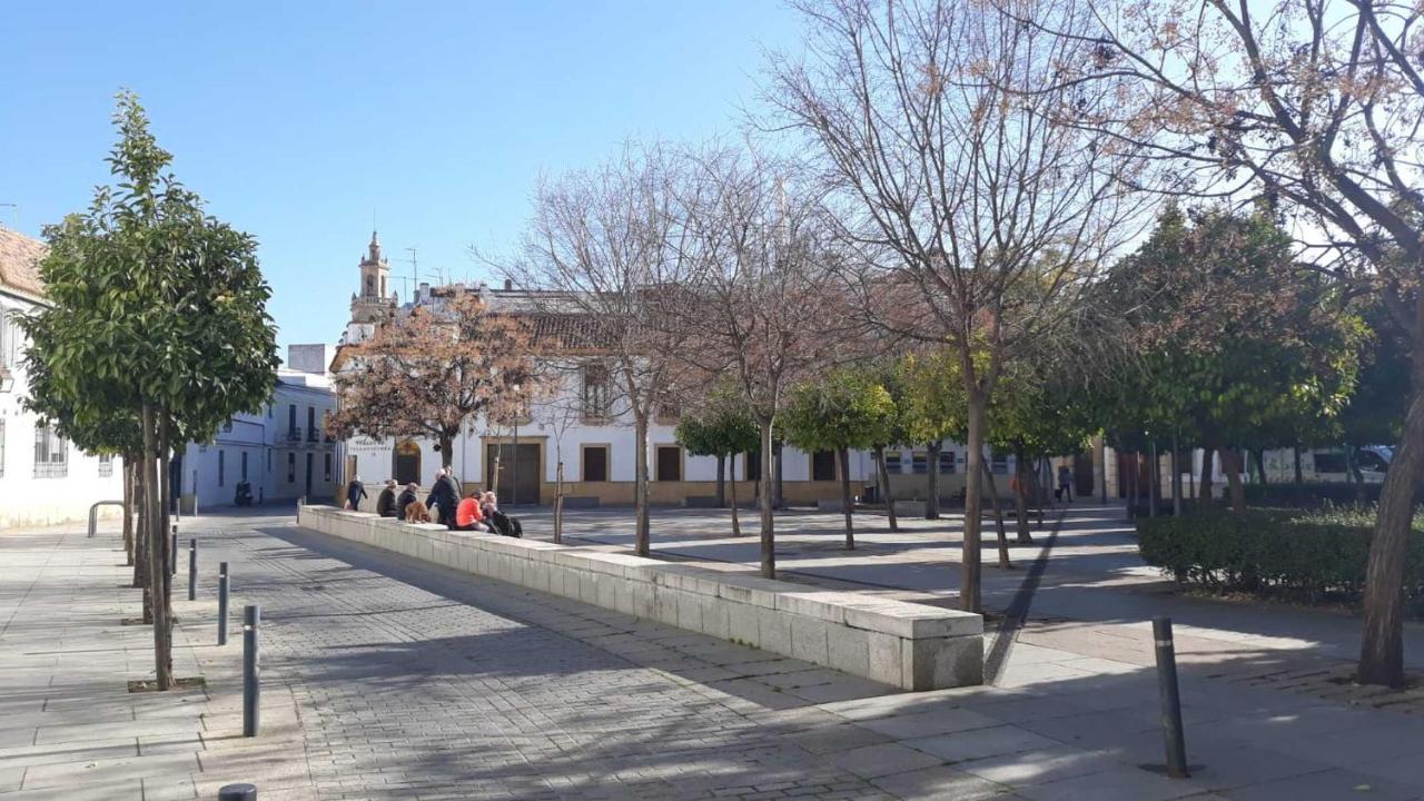 Apartamento Realejo 2