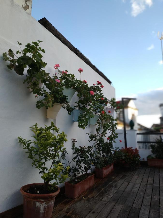 Hostal Esencia De Azahar * Cordoba