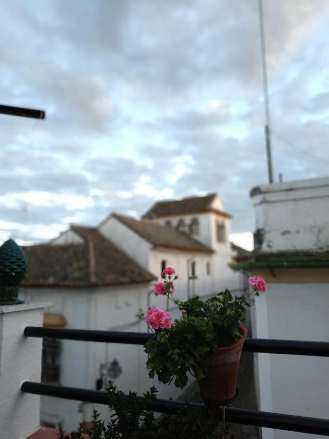 Pensión Esencia De Azahar