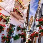 Apartamento Con Jardin Y Piscina En Cordoba