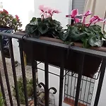 Apartamento En La Juderia De Cordoba Tana S Home
