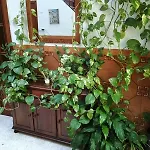Casa Matbel