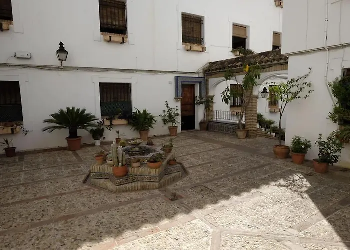 Medina Paradise