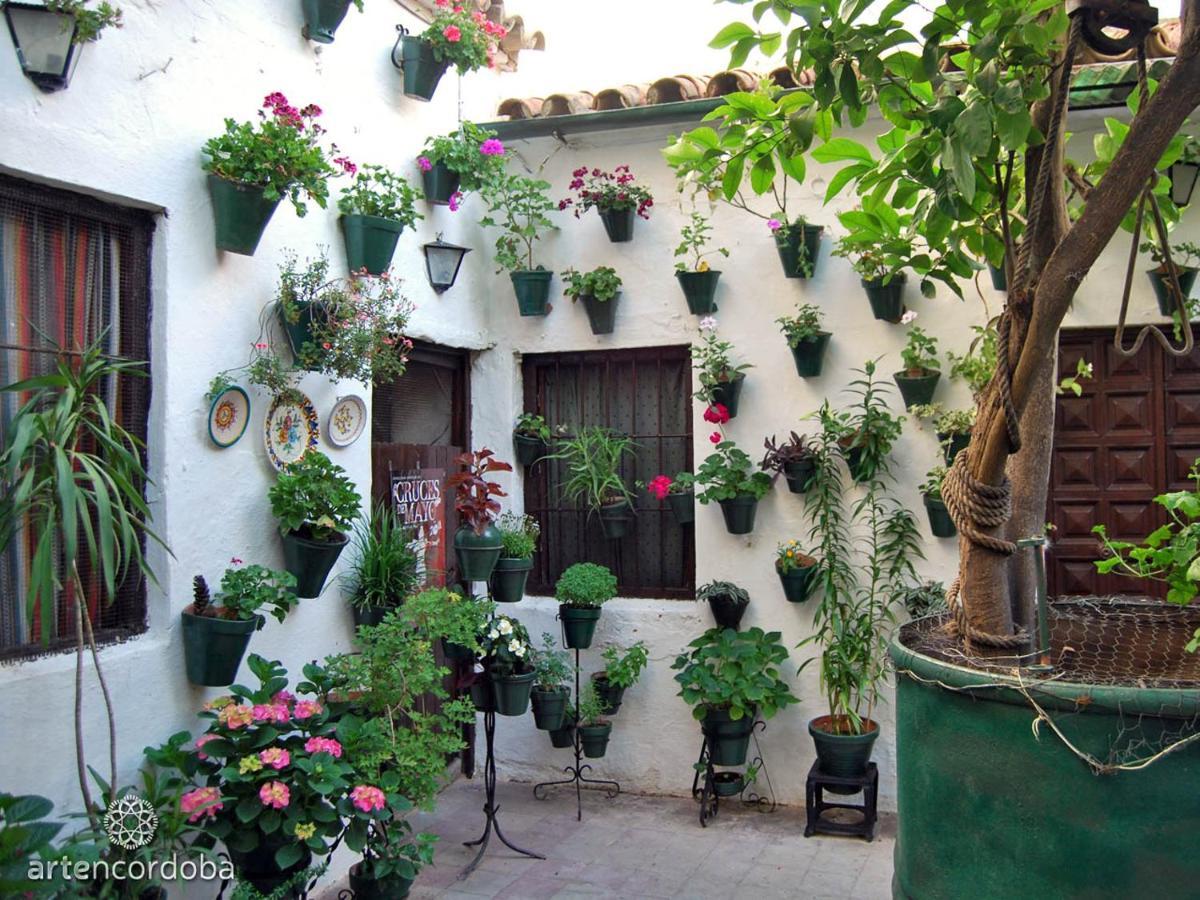 Apartment Casa Turistica San Agustin