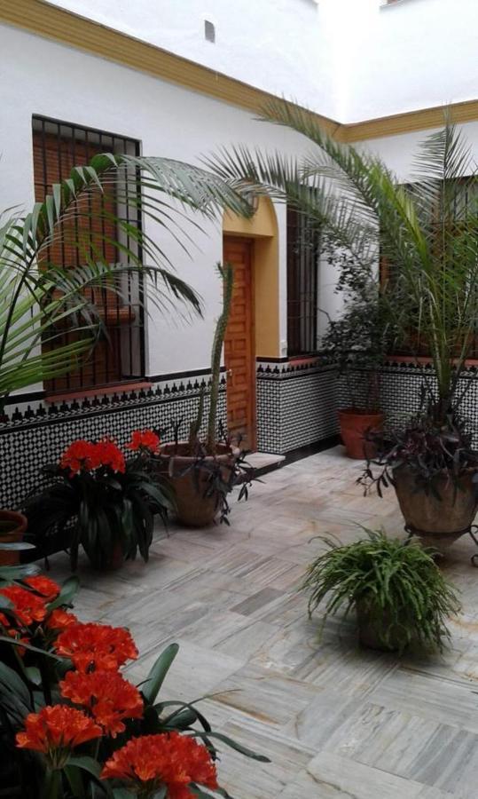 Centro Esencia Cordobesa. Mezquita