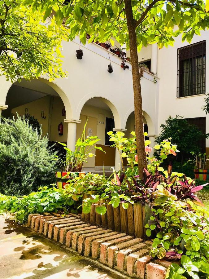 Dúplex Con Encanto En Centro Histórico De Córdoba. La Corredera.