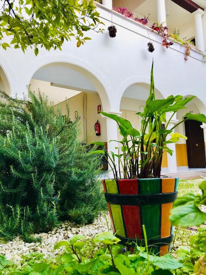 Dúplex Con Encanto En Centro Histórico De Córdoba. La Corredera.