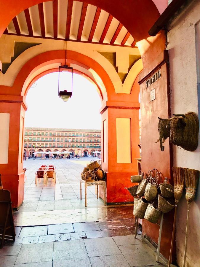 Dúplex Con Encanto En Centro Histórico De Córdoba. La Corredera. Apartamento Córdoba
