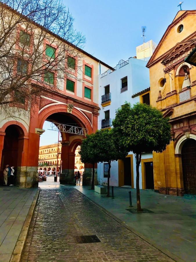 Dúplex Con Encanto En Centro Histórico De Córdoba. La Corredera. *