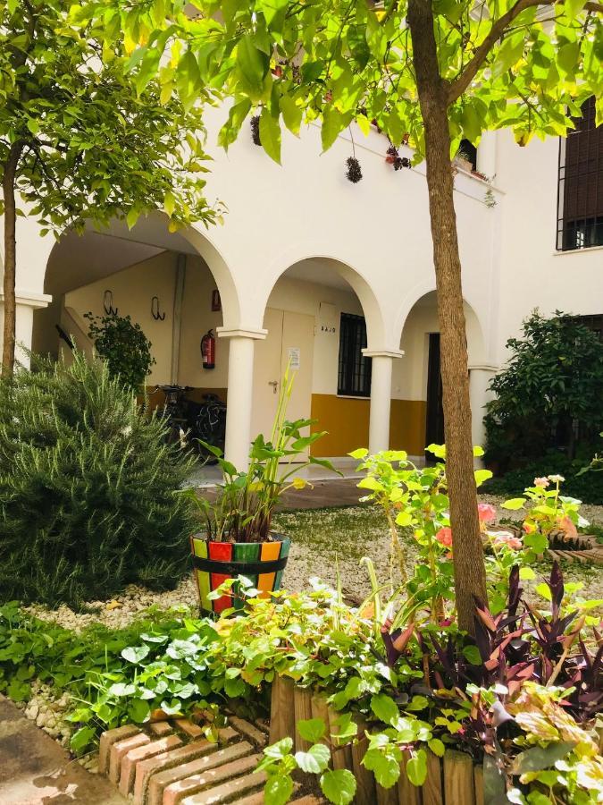 Dúplex Con Encanto En Centro Histórico De Córdoba. La Corredera. Córdoba
