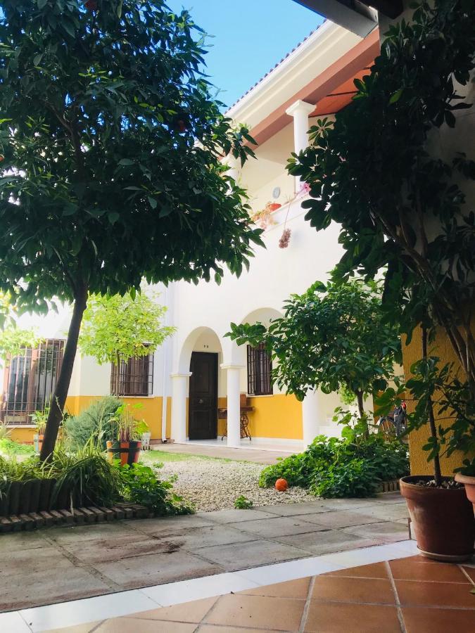 Dúplex Con Encanto En Centro Histórico De Córdoba. La Corredera. *