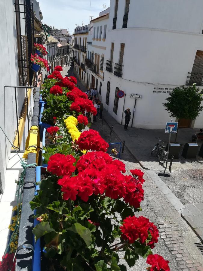 Vft Califal Córdoba