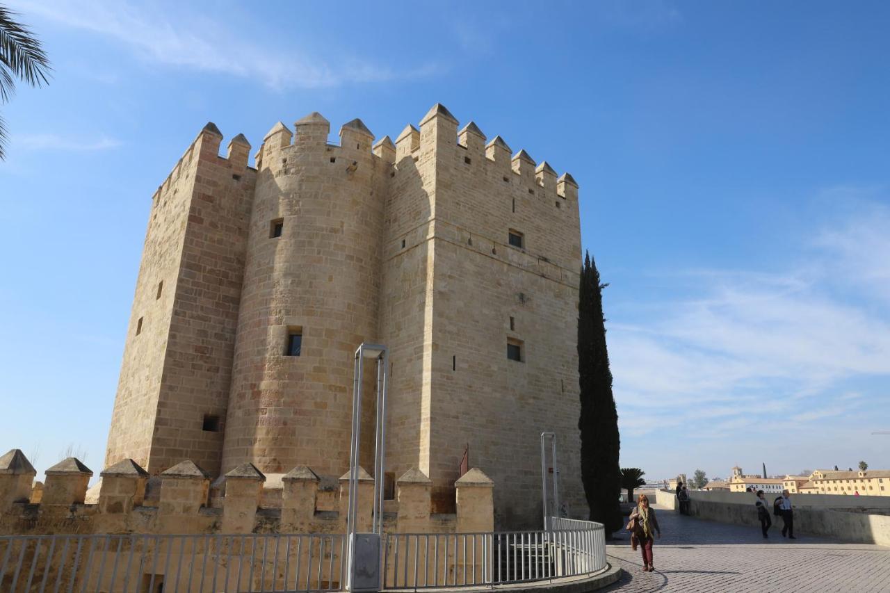 Duplex Santa Teresa, Al Lado De La Feria Apartamento Córdoba