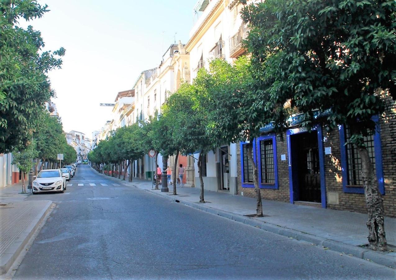 Apartment Vivienda Turistica Califato En Casco Historico *