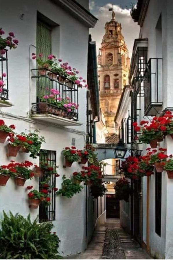 Apartamento Con Bbq. H De La Reina