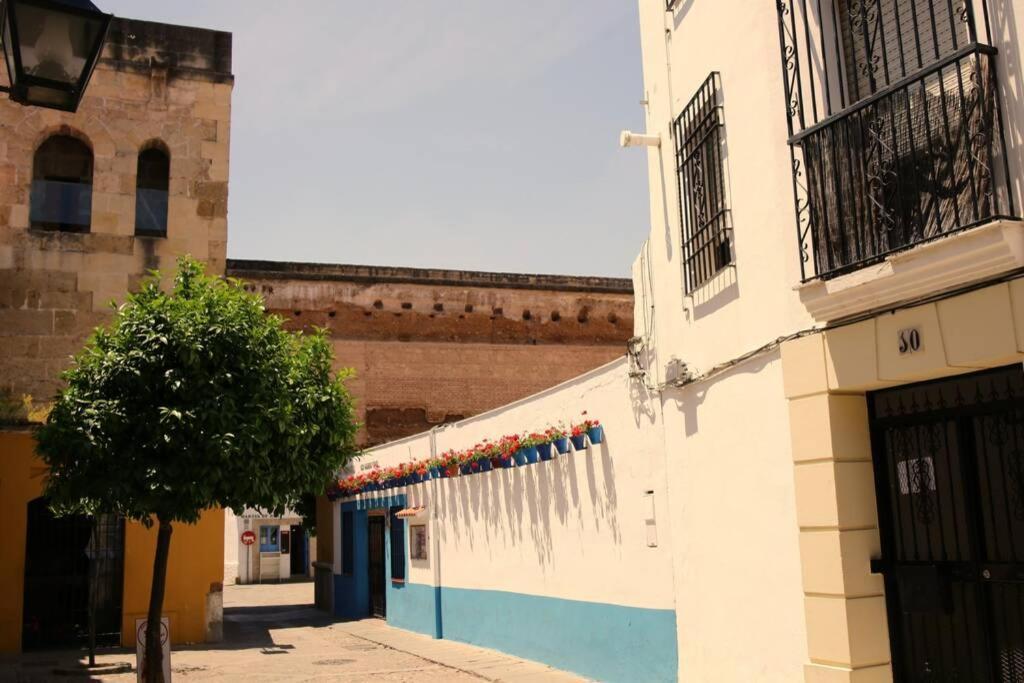 Calle San Basilio - Patios. Aparcamiento Gratis Apartamento