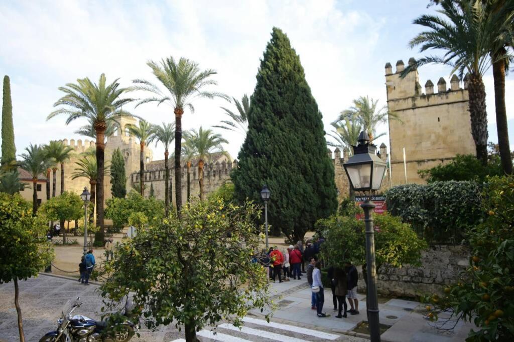Calle San Basilio - Patios. Aparcamiento Gratis Apartamento *