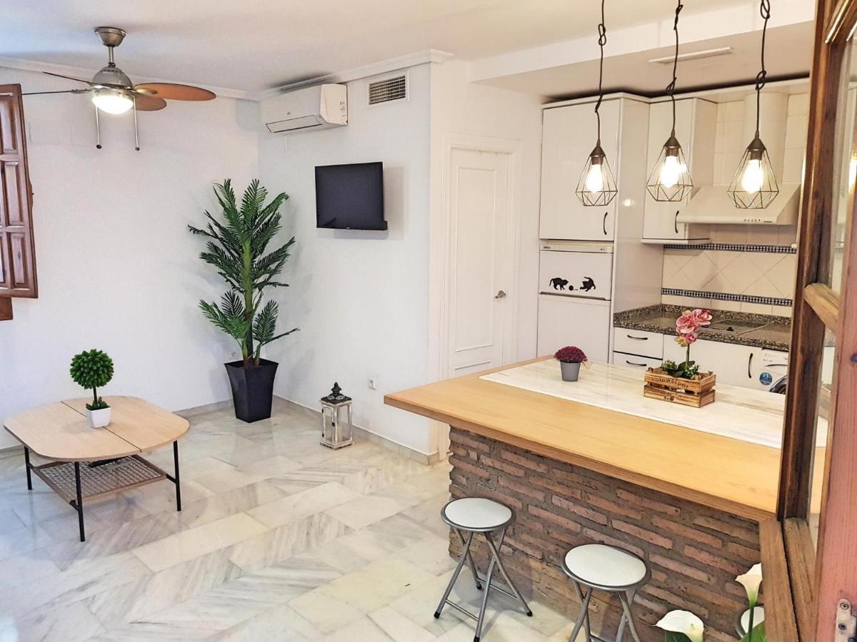 Apartment Duplex Juderia De