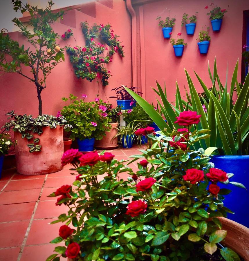 Hotel Conde De Cárdenas