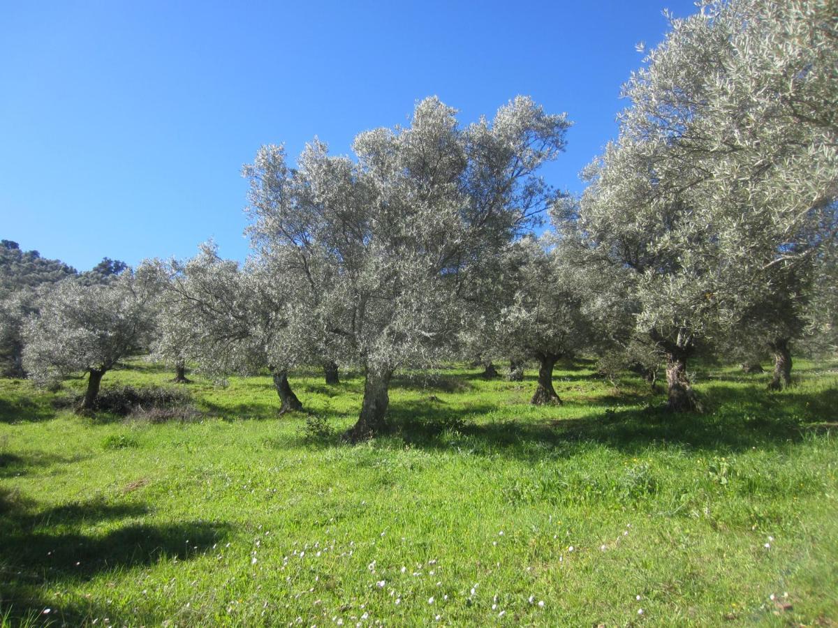 Cortijo Era Grande 2 *