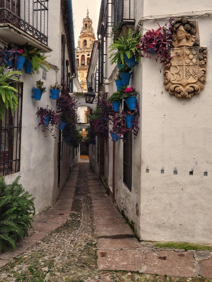 Calle San Basilio - Patios. Aparcamiento Gratis Apartamento Córdoba