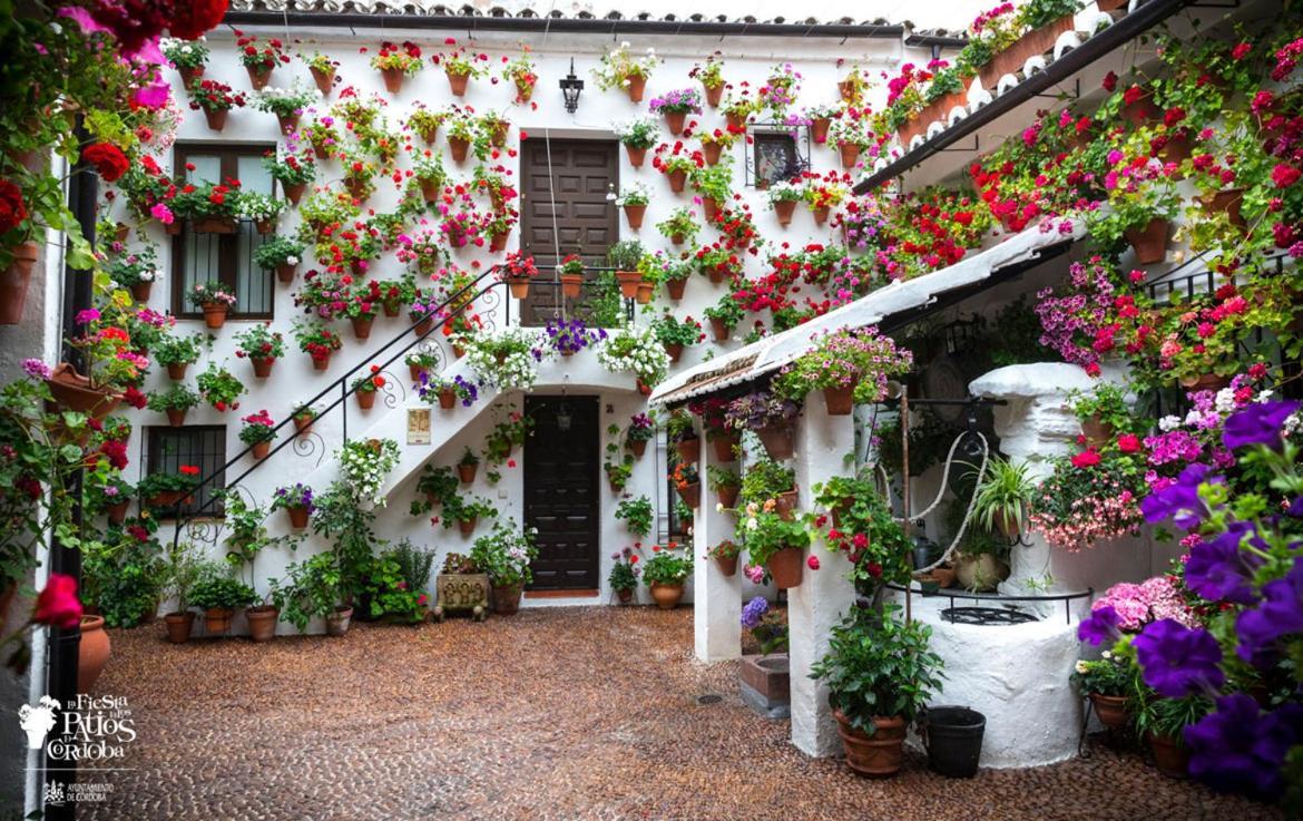 Puerta A La Mezquita Apartamento