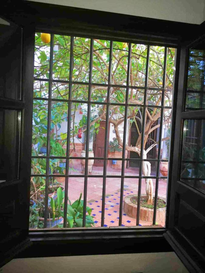 Apartment Casa Patio Suenos De Daury Ii *