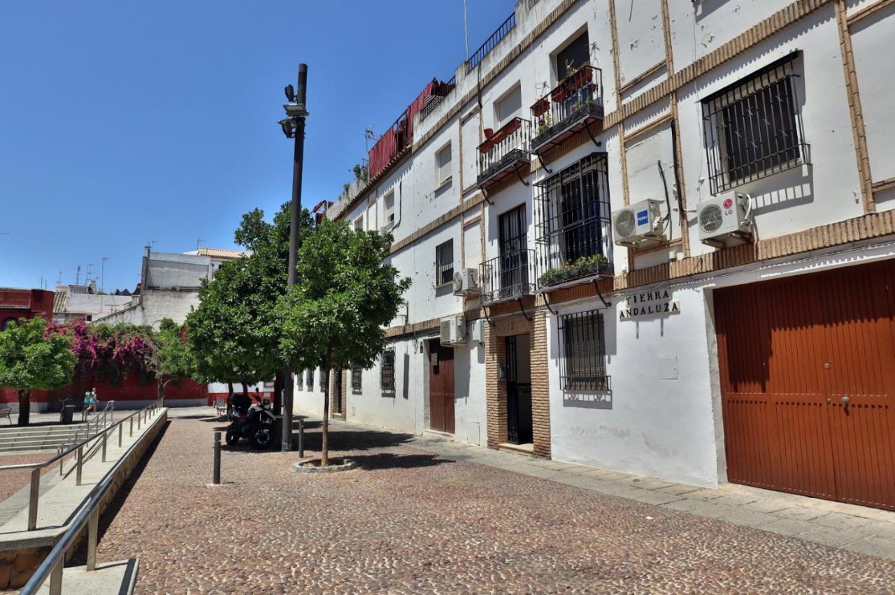 New Tierra Andaluza Junto Mezquita Apartment *