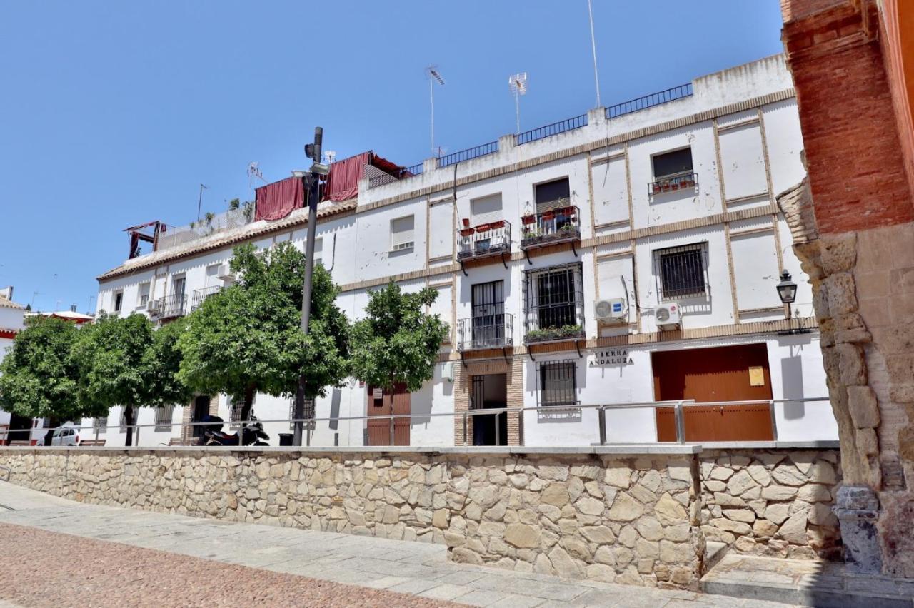 Apartment New Tierra Andaluza Junto Mezquita
