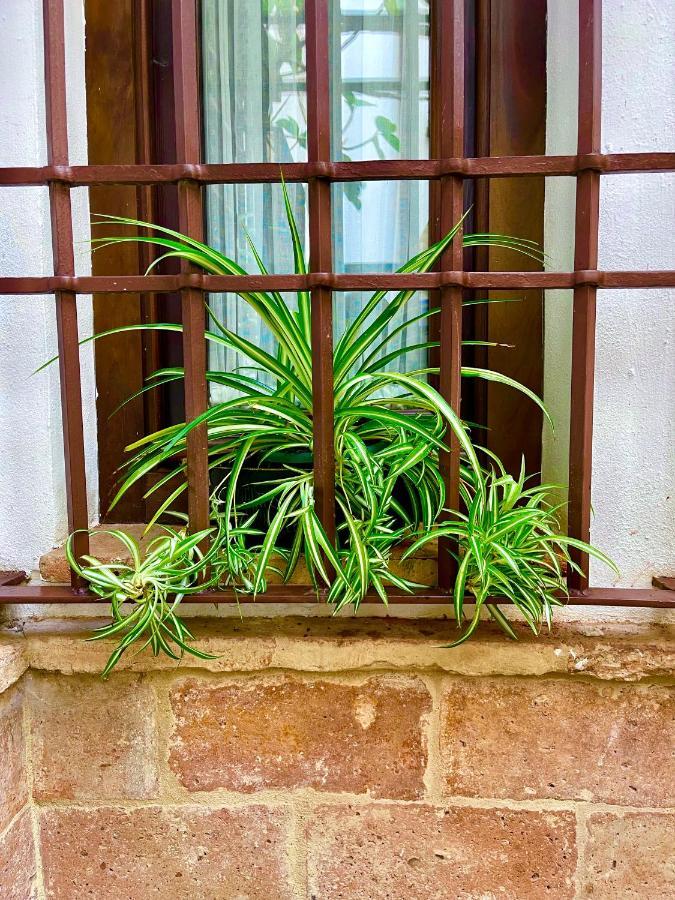Corduba Apartamento Córdoba