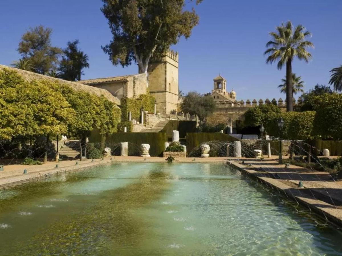 Ribera De C Córdoba