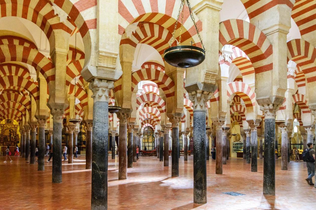 El Olivo Apartamento Córdoba