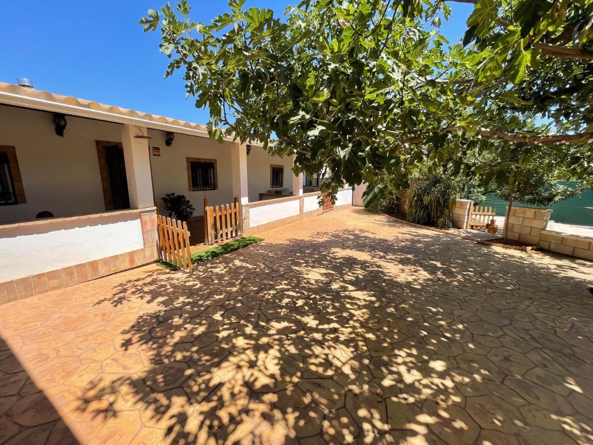 Ballesterin Holiday home