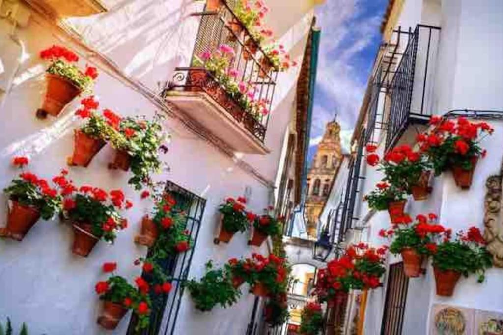 Con Jardin Y Piscina En Apartamento