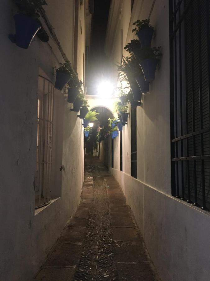 Apartamento Casa Terraza Juderia *