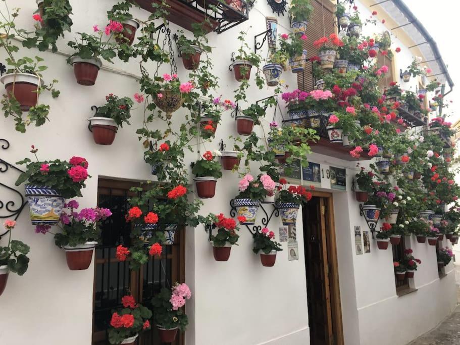 Apartamento La Puerta De La Axerquia Parking Y Wifi Gratis