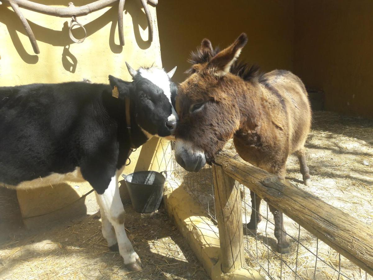 Del Bosque Cerca De Holiday home Cordoba