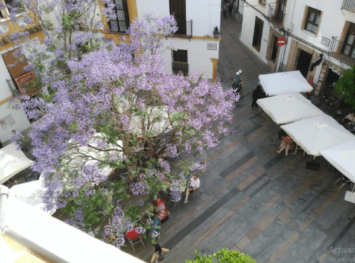 La Casa De La Musica Apartamento Córdoba