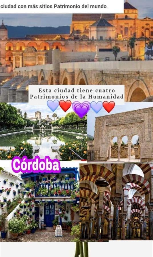 Apartamento Grupo Limcotel El Paseito De Concha-mesquita-parking *