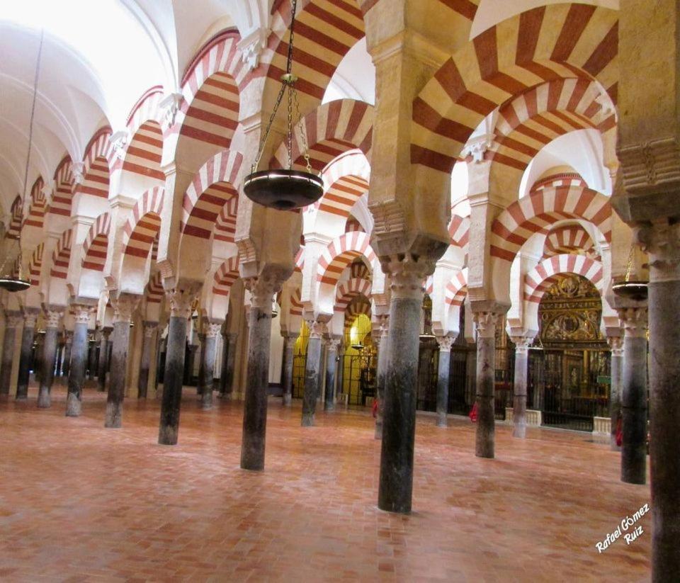 Grupo Limcotel El Paseito De Concha-mesquita-parking