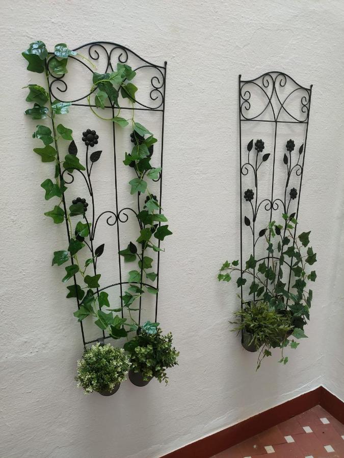 Apartamento Grupo Limcotel El Paseito De Concha-mesquita-parking *