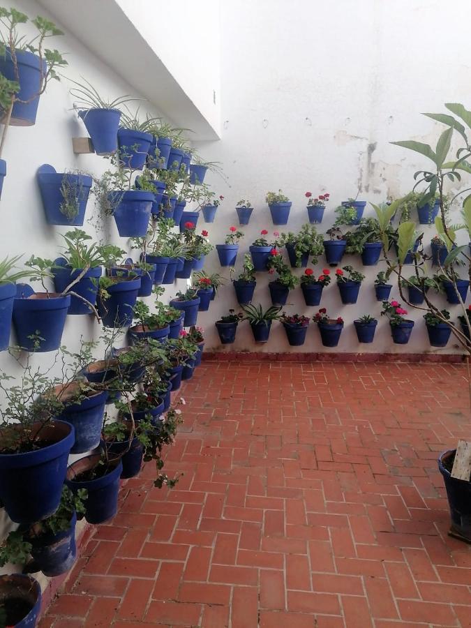 Plaza Mayor 2 Apartment *
