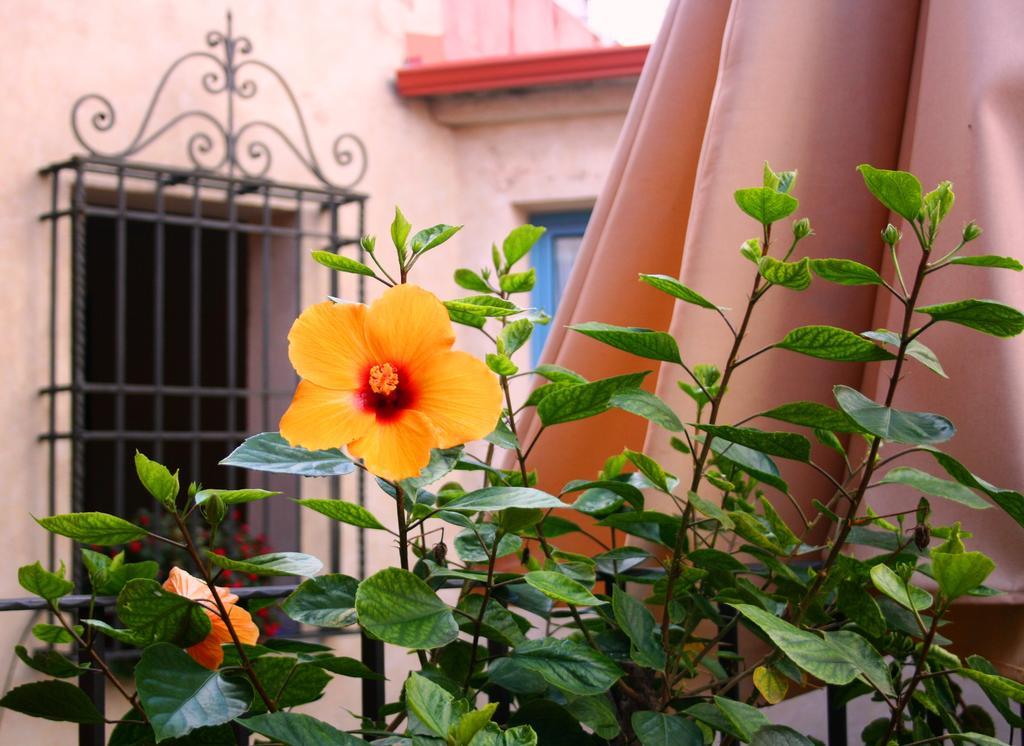 Conde De Cárdenas Hotel Córdoba