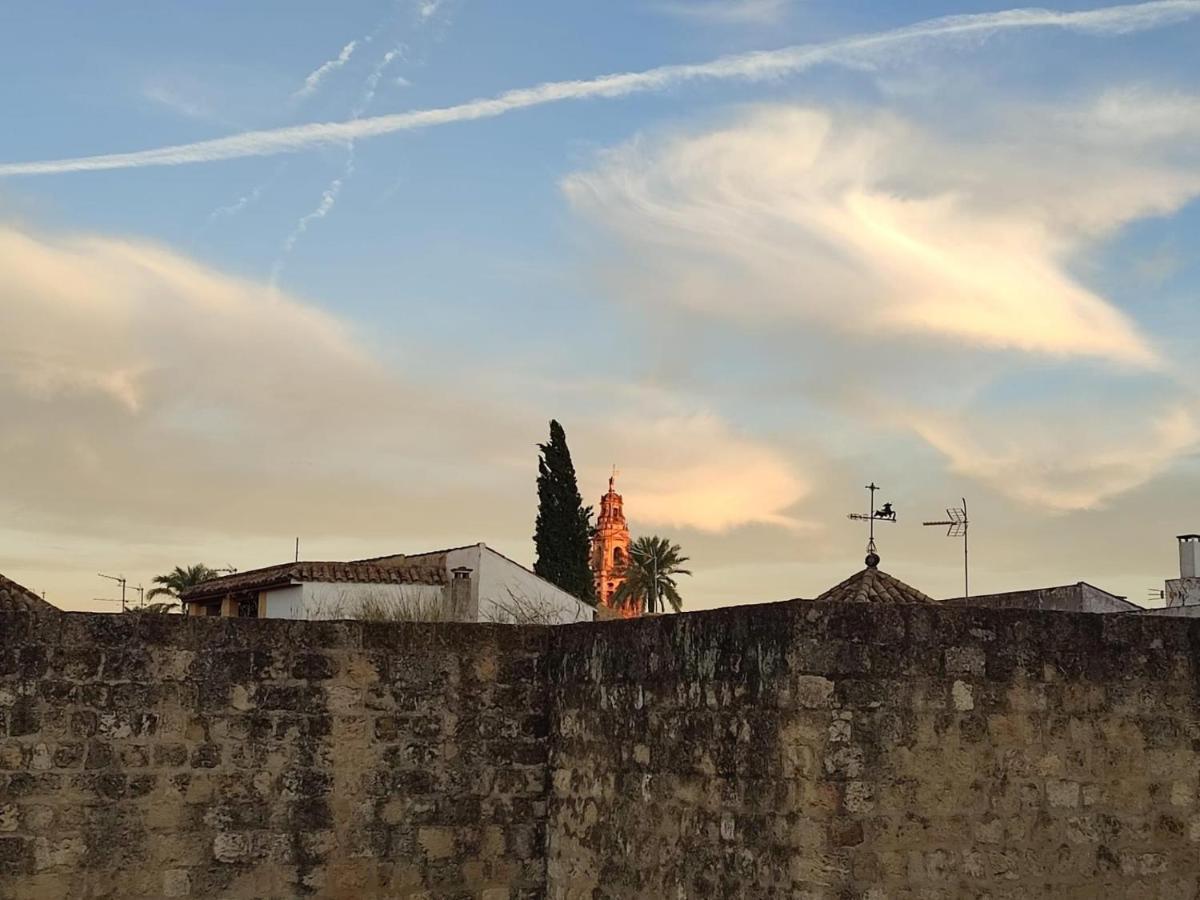 Bonito Atico En La Juderia De * Córdoba