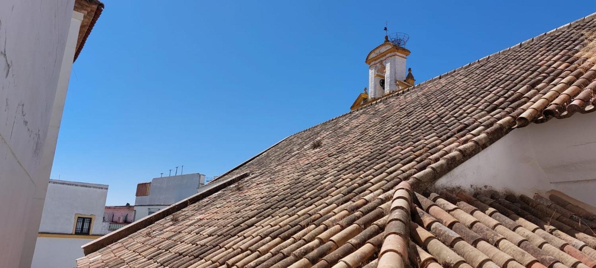 Tejar De San Basilio * Córdoba