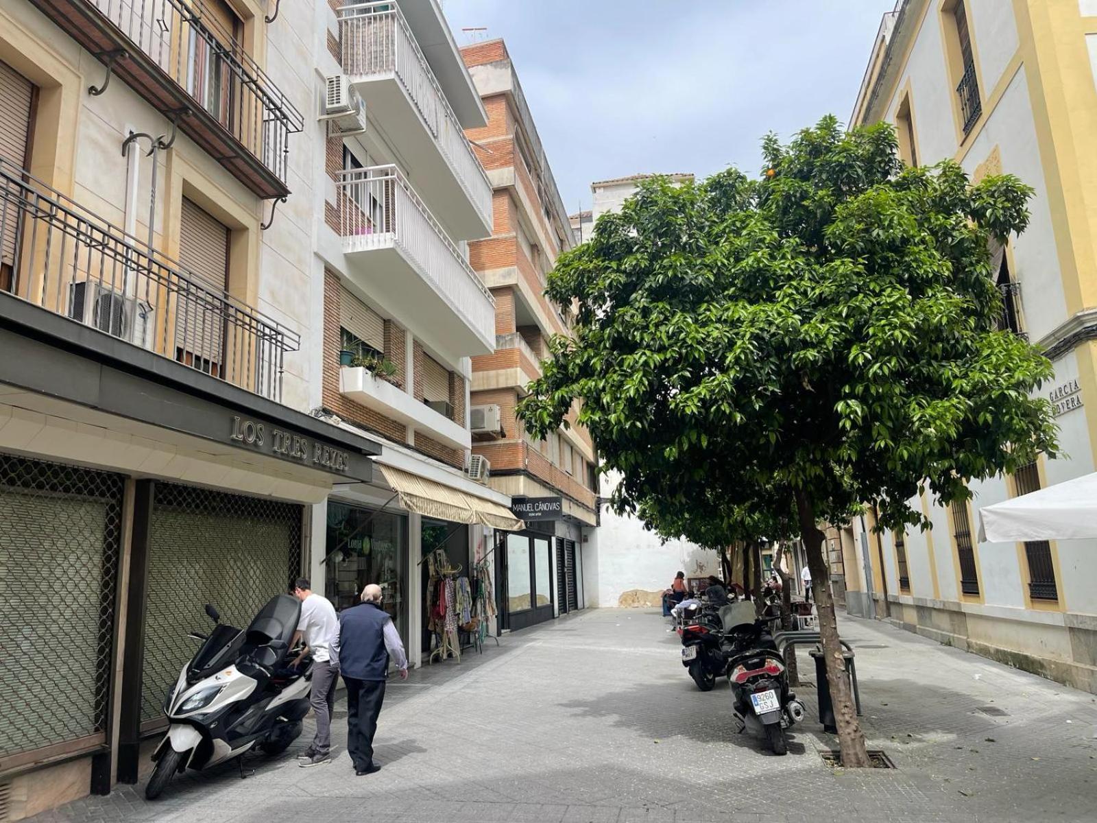 Apartment Azonaicas Centro Tendillas *