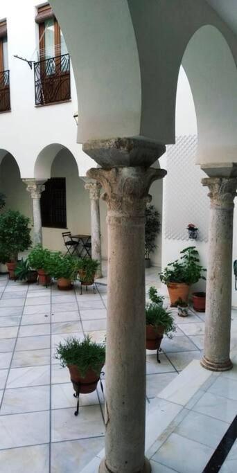 Apartamento Disfruta De La Historica *
