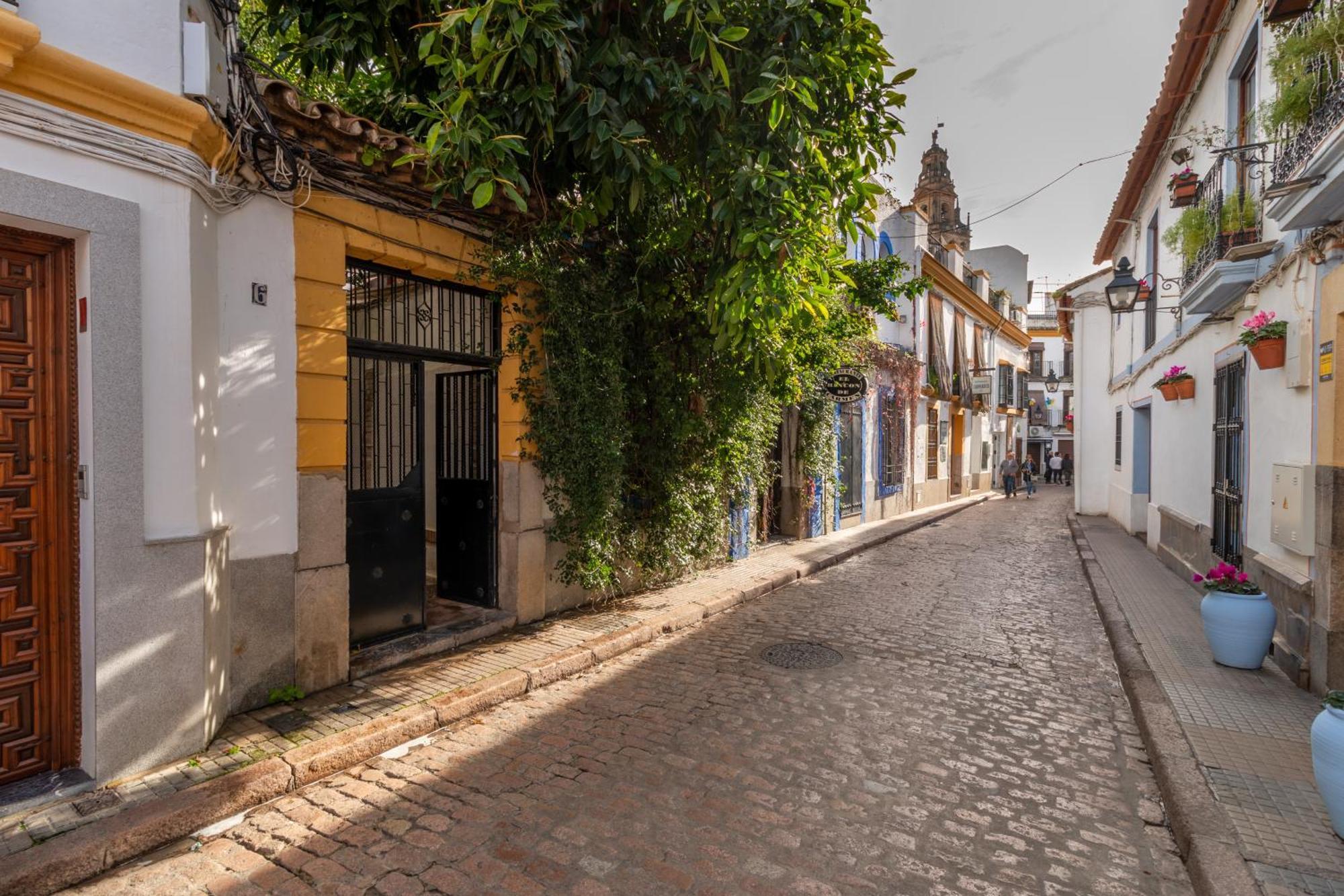Apartamento La Perla De La Juderia Córdoba